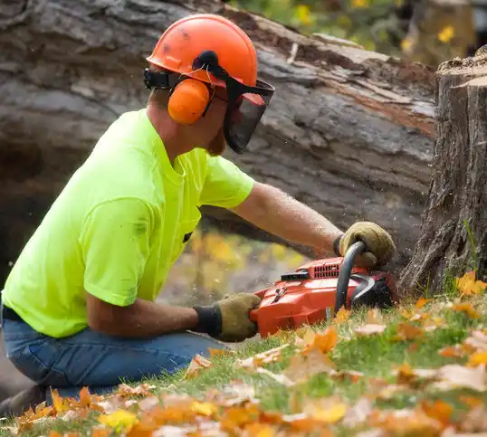 tree services Lonsdale